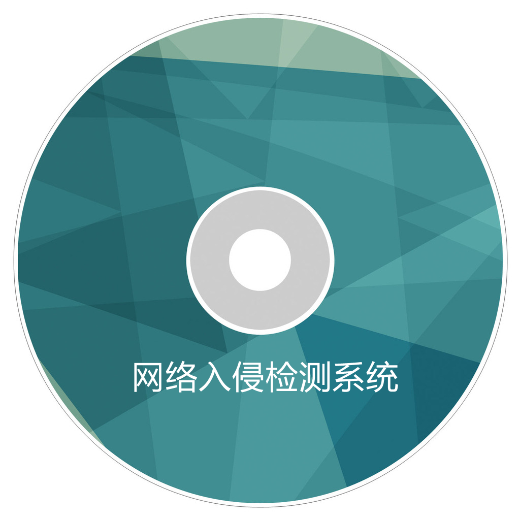 网络入侵检测系统